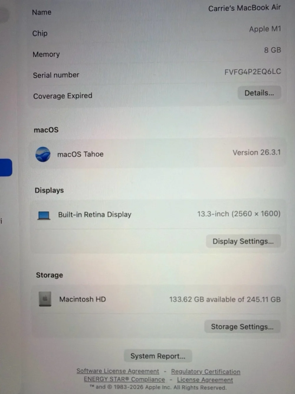 Apple 13